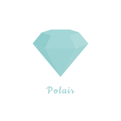 Polair logo